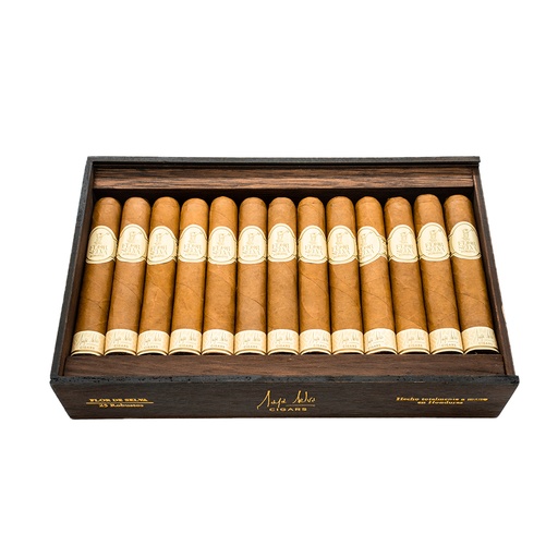 Classic Robusto (Coffret de 25)